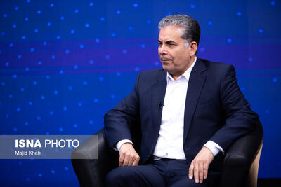  فشارمجازی، مسیر سازمان محیط زیست را تغییر نمی‌دهد/ آغاز بازوحشی سازی خرس سیاه در جنوب کشور