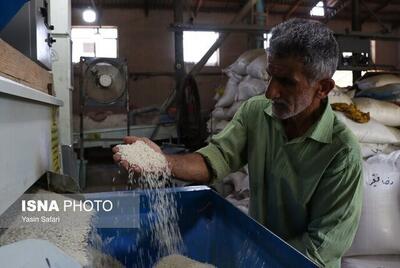  مدرن سازی ۴۰۷ واحد شالیکوبی در گیلان