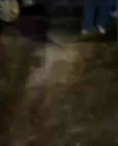  کنده شدن عجیب موتور پژو ۲۰۶ در یک تصادف