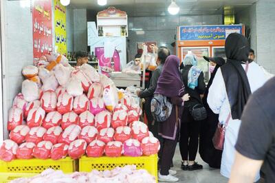  قیمت تولید مرغ ترمز برید