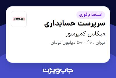  استخدام سرپرست حسابداری در میکاس کمپرسور