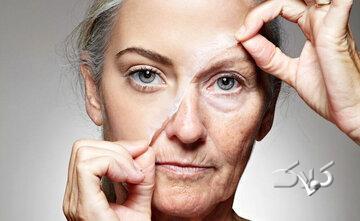  با خوردن این مغز دیرتر پیر می‌شوید - مجله اینترنتی کولاک