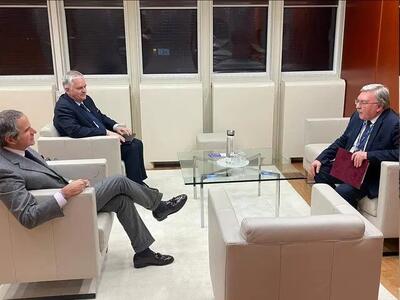  اولیانوف: با گروسی درباره ایران صحبت کردم