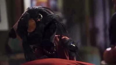  افتو گربه رامبد جوان وقتی کاپوت میبینه دوست داره بره توش!! + فیلم