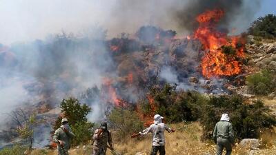  فرارشکنی نکنید ! / مقصر آتش سوزی جنگل الیت چوپانان و گردشگران نیستند