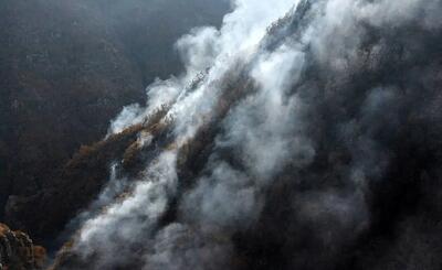  مدیر منابع طبیعی نوشهر: آتش‌سوزی‌های هیرکانی مدیریت شده و حضور نیروهای غیرمتخصص نیاز نیست/ عامل آتش سوزی انسانی است / اکثرا بلوط های خشک سوختند !/ تا 10 روز آینده در منطقه باران نداریم  + فیلم و صوت