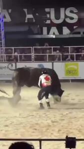  فیلم حادثه خطرناک در مسابقه گاوبازی