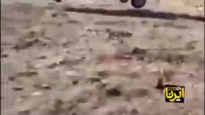  فیلم لحظه انتقال چهار مصدوم حادثه آتش‌سوزی جنگل چالوس به مراکز درمانی با بالگرد