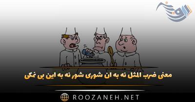  معنی ضرب المثل نه به آن شوری شور نه به این بی نمکی (تاریخچه و انشا)