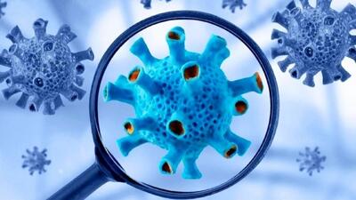  فوری/ اعلام آماده‌باش به دلیل شیوع ویروس جدید