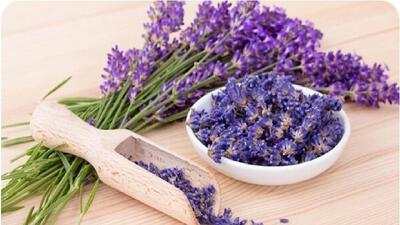  خواص منحصر‌به‌فرد اسطوخودوس برای پوست + فیلم