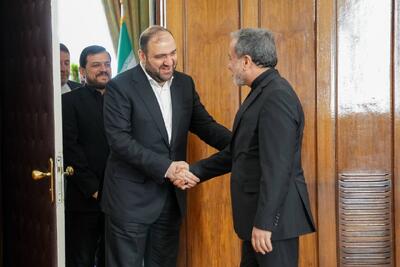  نائب‌ رئیس جریان حکمت ملی عراق با عراقچی دیدار کرد