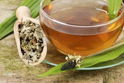  هفت خاصیت اعجاب‌انگیز گیاه دم‌اسب که هیچ کس درباره آن نمی‌داند! / 🌿 دم‌اسب، گیاه شگفتی‌ها؛ هفت فایده ناب که سلامتی و زیبایی شما را دگرگون می‌کند! | اندیشه قرن