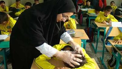  از شپش‌های خطرناک تا درمان‌های خانگی؛ آیا سرکه و روغن زیتون در از بین بردن شپش سر مؤثر است؟
