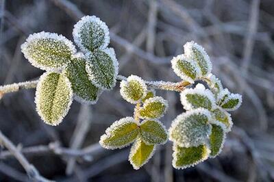  هشدار بی‌هنجاری سرما در ۶ استان صادر شد