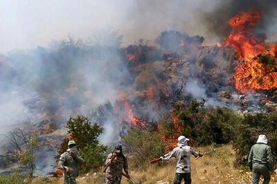 فاجعه آتش هیرکانی تا کلاردشت هم رسید!