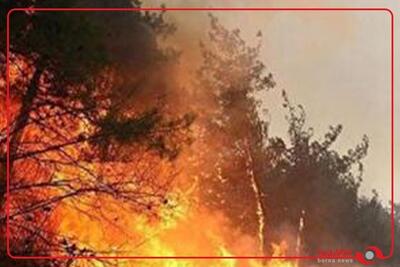  همه دست به دست هم داده‌اند؛ برای نجات الیت