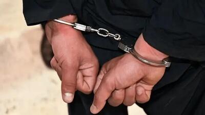  بعد از آتش‌سوزی عظیم جنگل؛ دهیار روستای الیت چالوس بازداشت شده است؟