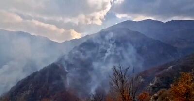  در صورت نیاز از روسیه برای مهار آتش‌سوزی جنگل چالوس کمک میگیریم