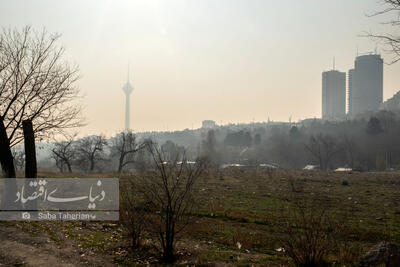  ۱۷ ایستگاه کیفیت هوای تهران در وضعیت قرمز