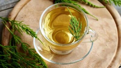  هفت خاصیت شگفت‌انگیز گیاه دم‌اسب | اقتصاد24