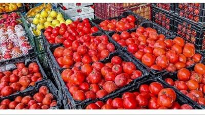  فاجعه در بازار! گوجه فرنگی به قیمت طلا نزدیک شد