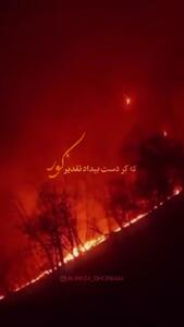  واکنش علیرضا قربانی به سوختن جنگل‌های هیرکانی