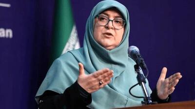 مهاجرانی: اعتبار جداگانه به سفر مسئولان اختصاص نمی‌یابد