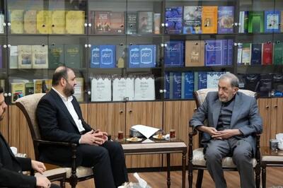 دکتر ولایتی: انتخابات عراق توطئه دشمنان را خنثی کرد