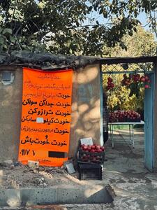 کار جالب و قابل تحسین باغ دار شیرازی