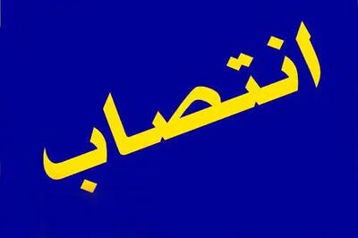  مدیرعامل نیکو منصوب شد