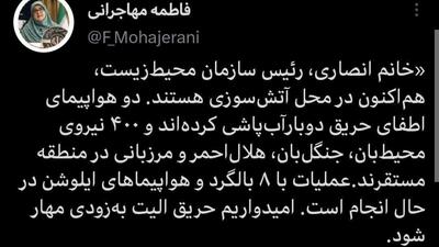  پیام سخنگوی دولت درباره روند اطفای حریق جنگل الیت چالوس