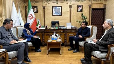  ضرورت ایجاد بازار جهانی فرش با هدف رفع چالش‌های این صنعت
