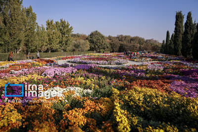  کمبود آب جدی‌ترین چالش باغ گیاه‌شناسی ملی ایران است