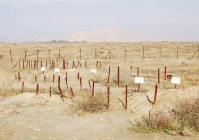  جنایتی دیگر از جنایتکاران صهیونیست: سرقت اعضای بدن شهدای فلسطینی