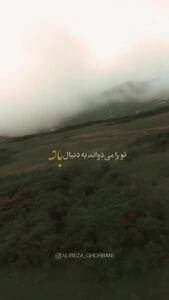  واکنش علیرضا قربانی به حادثه تلخ سوختن جنگل‌های هیرکانی؛ درختان همه دود پیچان به تاراج باد