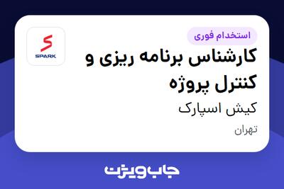  استخدام کارشناس برنامه ریزی و کنترل پروژه در کیش اسپارک