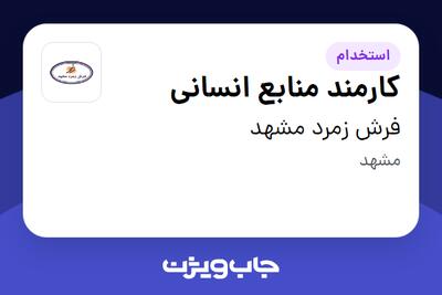  استخدام کارمند منابع انسانی - خانم در فرش زمرد مشهد