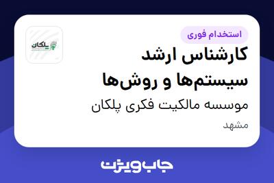  استخدام کارشناس ارشد سیستم‌ها و روش‌ها در موسسه مالکیت فکری پلکان