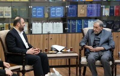  ولایتی: رابطه ایران و عراق مستحکم و بدون گسست است