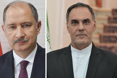  گفت‌وگوی سفیر کشورمان با معاون کشاورزی ترکیه درباره روند اطفای حریق جنگل‌های الیت