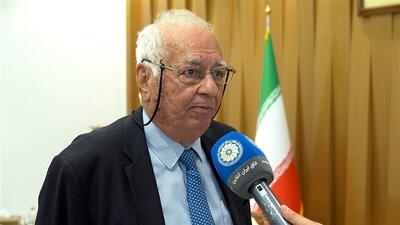  امکان از سرگیری تجارت در حوزه‌های غیرتحریمی میان ایران و فرانسه