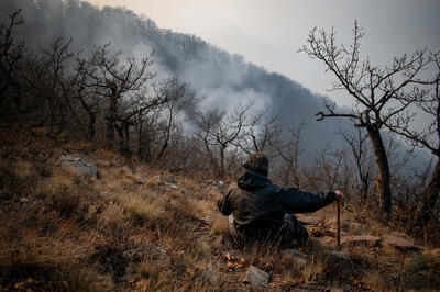  آیا باید آتش‌سوزی الیت و دلیر را به حال خود رها کرد؟