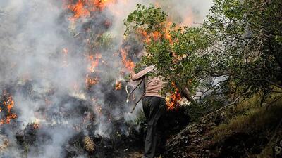  چندین بار آتش الیت را خاموش کردیم، باد دوباره شعله ور کرد/ آتش‌سوزی در جنگل و ارتفاعات رخ داده و مراتع تحت تأثیر قرار نگرفته‌اند + صوت