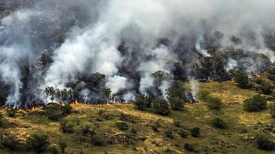 هواپیمای ترکیه هنوز به هیرکانی نرسیده است/ آتش در روزهای آینده نیز شعله ور خواهد بود/ نیروی انسانی نیاز نیست، تجهیزات الزام است/ نقاط مرکزی آتش دیده نمی شود