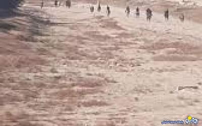  بعد از اینکه زاینده رود خشک شد اسب‌ها هم بر تن خسته‌اش تاختند!