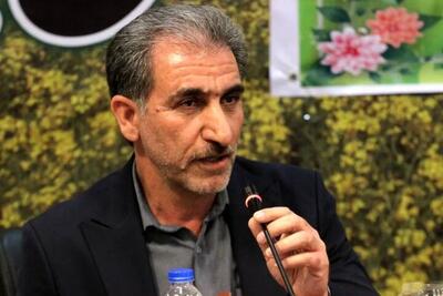 رشد ۱۷ درصدی تولیدات کشاورزی ایلام با وجود خشکسالی