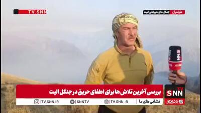  داوطلب کلاردشتی: آتش جنگل‌های الیت بسیار پرقدرت است / تنها نیروهای حرفه‌ای مردمی می‌توانند کمک کنند