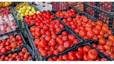  سندروم پاییزی قیمت‌ گوجه فرنگی!