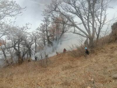  ادامه عملیات مهار آتش‌سوزی در جنگل‌های الیت